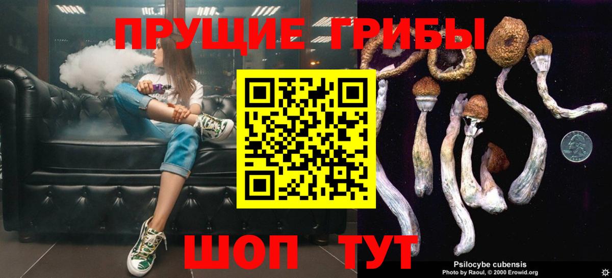 Михайловка  купить наркотик  Галлюциногенные грибы Cubensis  Вход с VPN  Галлюциногенные грибы ЛСД 